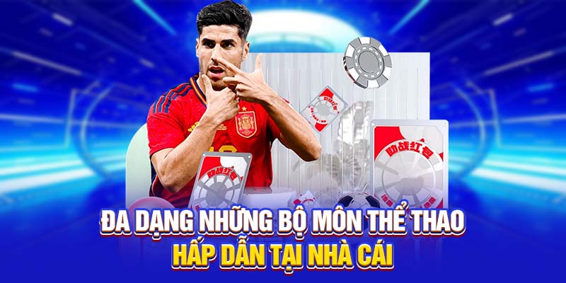 Một số nét tổng quan về sảnh cược thể thao VN88