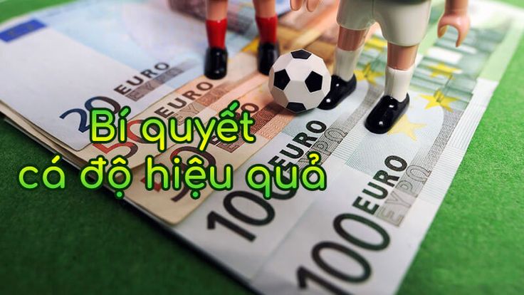 Kinh Nghiệm Cá Cược Bóng Đá
