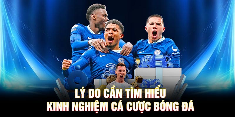 Lý do cần tìm hiểu kinh nghiệm cá cược bóng đá