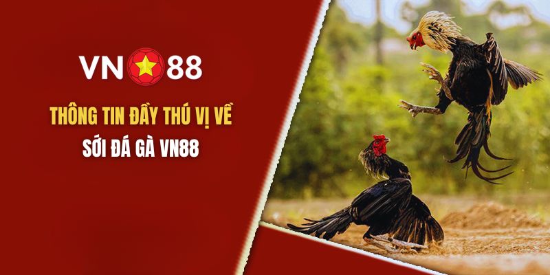 Giới thiệu về Đà Gà VN88 cho người mới